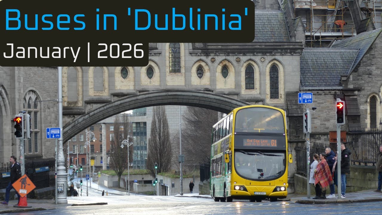 Buses in 'Dublinia' [Christchurch] | January 2026
