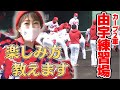 【ファン歴20年】カープ女子・うえむらちかと行くカープ若鯉発掘の旅