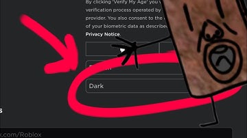 How to change Roblox light to dark mode