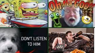 Where Did These Popular Meme Images Come From?