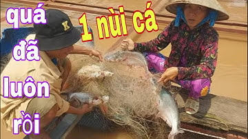 Dô Mánh Rồi Mới Đầu Cứ Tưởng Thất Thu Ai Ngờ Đâu Lại Trúng Mánh Như Vậy # SĂN BẮT ĐỒNG THÁP #