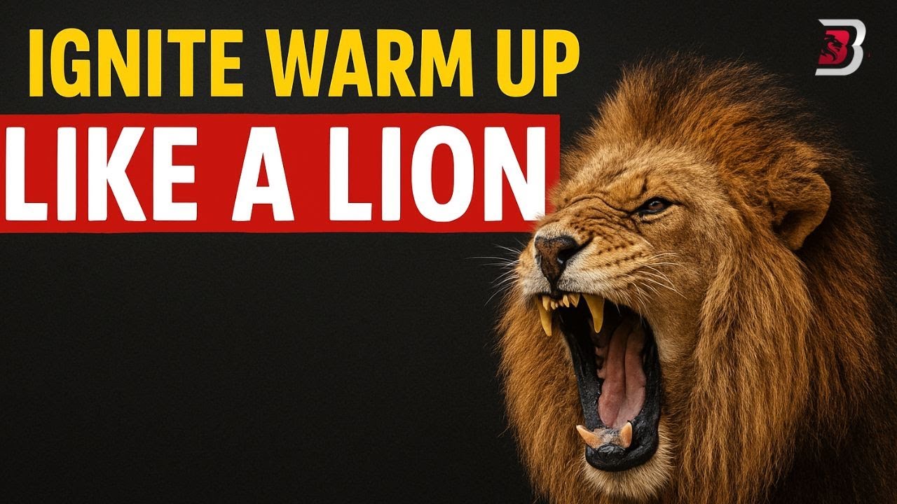 Ignite warm up 6 like a LION