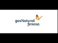A gas natural fenosa agora  naturgy  6s