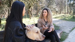 Njihemi Me Qenin Pit Bull Jack - Enxhi Ne Boten E Kafsheve Abc News