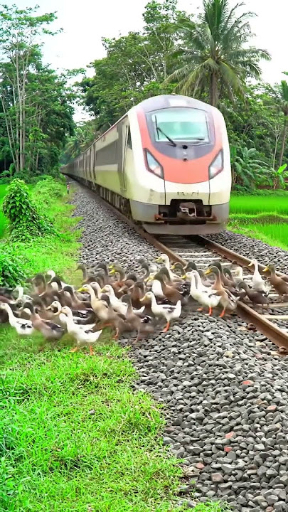 detik-detik Puluhan Bebek Tertabrak Kereta 😭 - Visualisasi AI