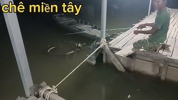 câu cá đêm dính được con cá tra bự nhe #cauca #song #chê miền tây