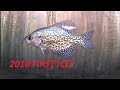 2018 ICE FISHING FIRST ICE Northern Wisconsin!