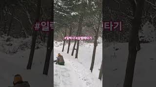 #웃긴영상#눈#무더운여름#추운겨울#일락사#funnyvideo#illraktemple