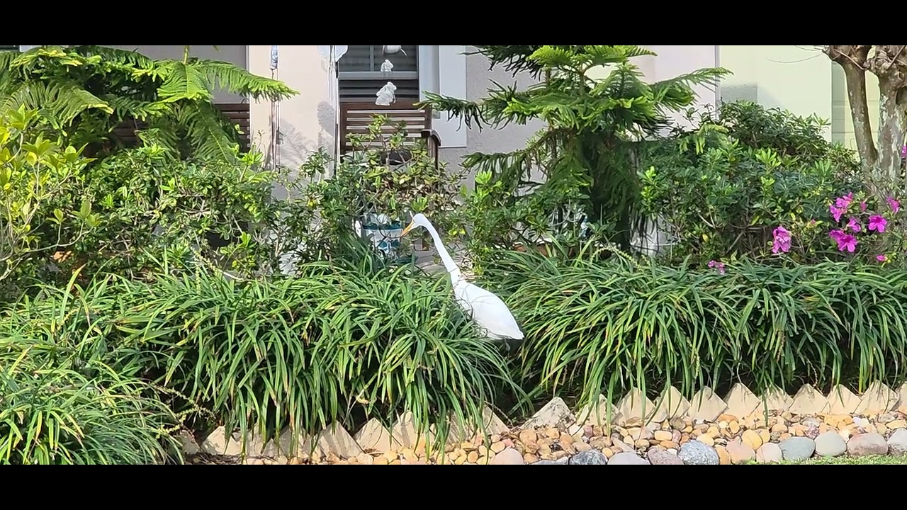 Экскурсия по садам Флориды в конце января