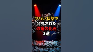 ㊗️5万再生🎉【ヤバすぎ】死ぬ瞬間、完全にバレてます！ヤバい状態で発見された恐竜の化石3選【都市伝説】#都市伝説 #オカルト #謎 #恐竜 #化石 #恐竜の化石 #最新の研究 #肉食恐竜 #草食恐竜