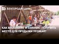 Законные социальные ярмарки в Белгороде🧺