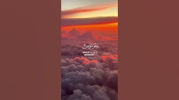 ما تيسر من سورة النحل | القرآن الكريم | القارئ عبد الرحمان مسعد