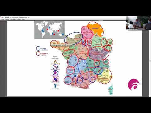 Vidéo: Atelier D'ingénierie Pour Un Architecte: Webinaires En Ligne TATPROF En Octobre