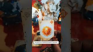💫Previsão do dia #tarot #gratidão #universo #leidaatraçãotarot #baralhocigano #tarô #taro #tarothoje