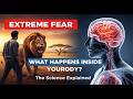 What Happens Inside Your Body in Extreme Fear?  | Body System Explained