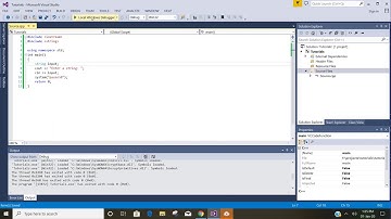 Take input in a variable in c++ console