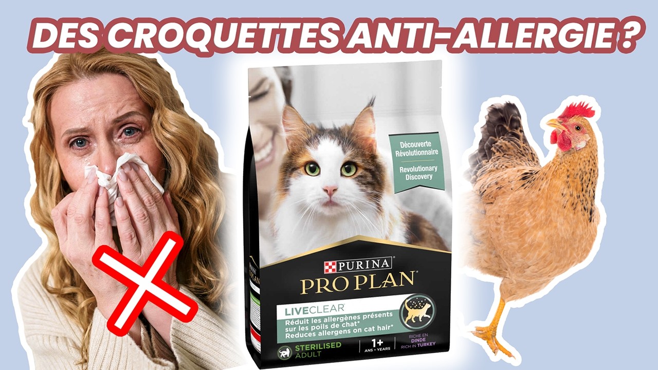 LiveClear Purina, des croquettes révolutionnaires pour lutter contre l’allergie aux chats ?
