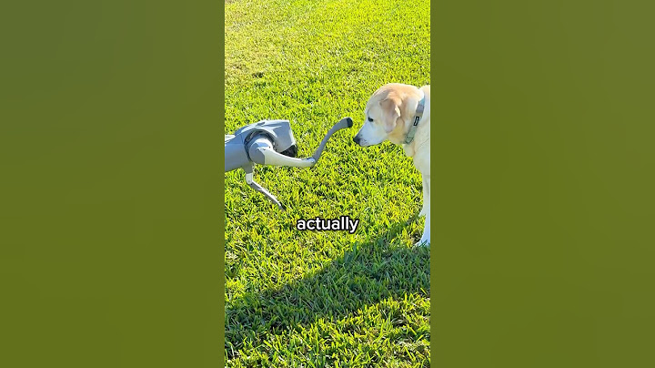 My REAL Dog vs My ROBOT Dog
