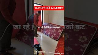 😲Pest Control Secret 🤯 #bedbugs #shorts #cartoon