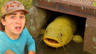 I Saved Fish Trapped In A Flooded Sewer