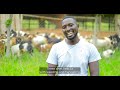 Farm Uganda Update