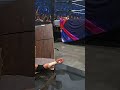 Mark Briscoe Crashes Through Your Screens And MJF | AEW Dynamite