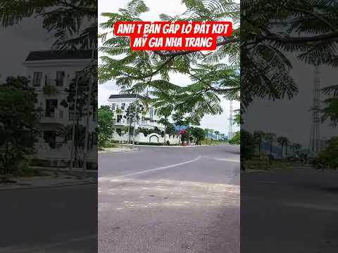 Anh T BÁN GẤP Lô Đất KĐT Mỹ Gia Nha Trang #shorts #thínhàđất #short #review #nhatrang #bds #reels 2023 mới nhất Anh T BÁN GẤP Lô Đất KĐT Mỹ Gia Nha Trang #shorts #thínhàđất #short #review #nhatrang #bds #reels 2023 mới nhất