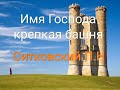 Имя Господа крепкая башня «Ситковский П.Н»