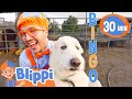 BINGO the Dog Song | Blippi Songs｜Kids Songs｜Animals for Kids