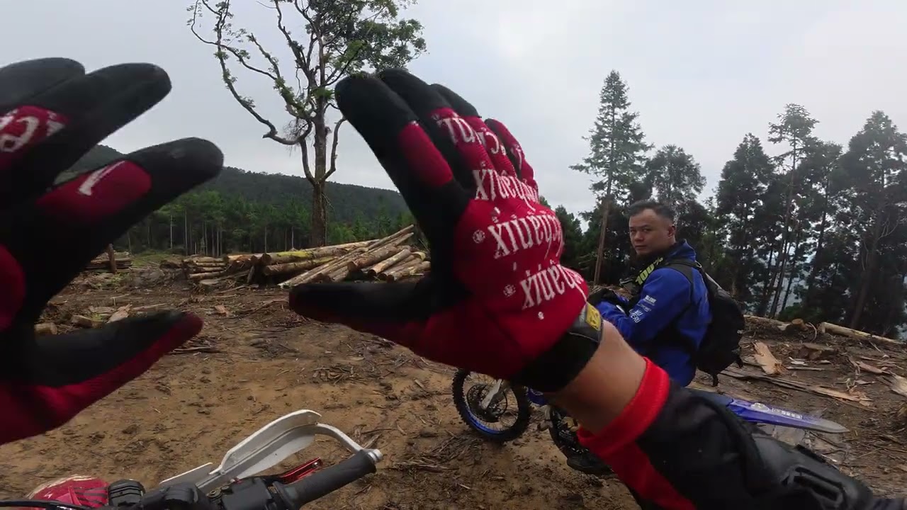 苗栗南天古道支線｜從靜謐林道道變成伐木現場...有點可惜