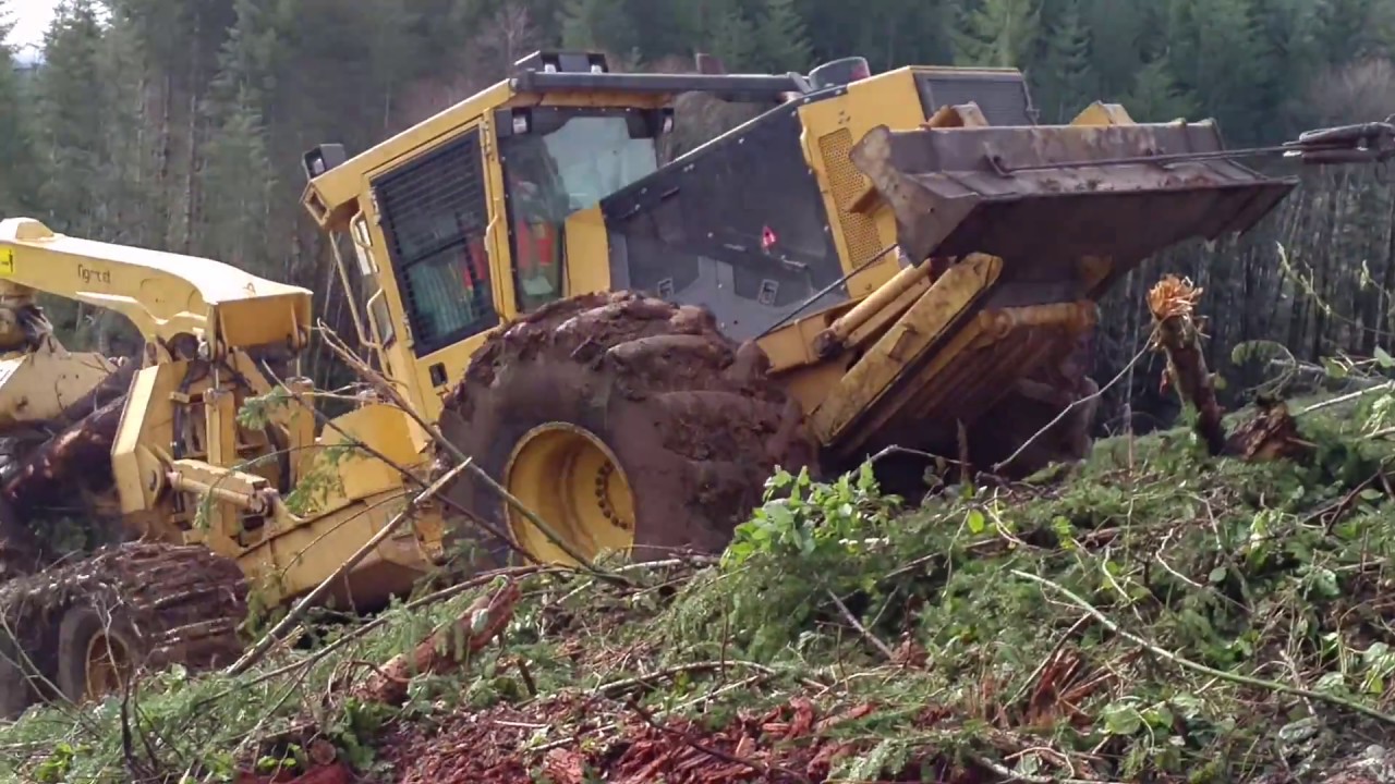 Tigercat Skidder and Shovel Logger on Steep Slope Logging YouTube