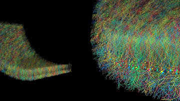 Large-scale pyramidal cell growth simulation using BioDynaMo