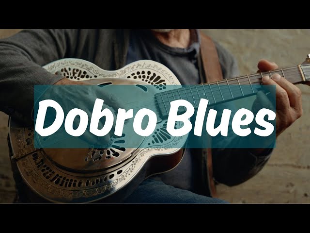 johnson ドブロ　ブルースギター johnson ドブロ ブルースギター