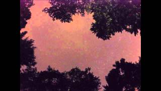 See Time-Lapse Of Perseid Meteor Shower In Michigan