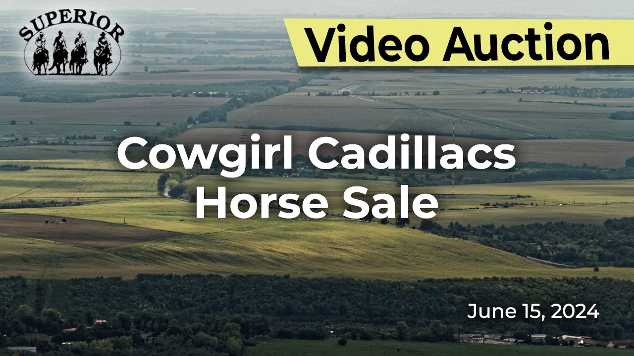 Cowgirl Cadillacs Sheridan Horse Sale YouTube