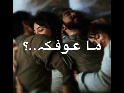 دك صدرك وكلي وياك ماعوفك ولا ليلة