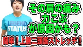 【おまけ付き】力こぶが肩痛の原因に?「上腕二頭筋ストレッチ」 上腕三頭筋損傷 検索動画30 【おまけ付き】力こぶが肩痛の原因に?「上腕二頭筋ストレッチ」 上腕三頭筋損傷 検索動画 30