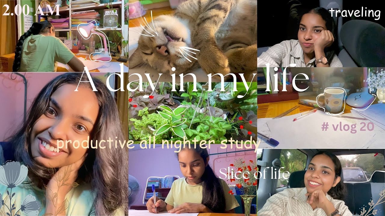2.00 AM STUDY VLOG◼️ | Pull an all nighter with me| Productive STUDY 📚 | traveling 🍃