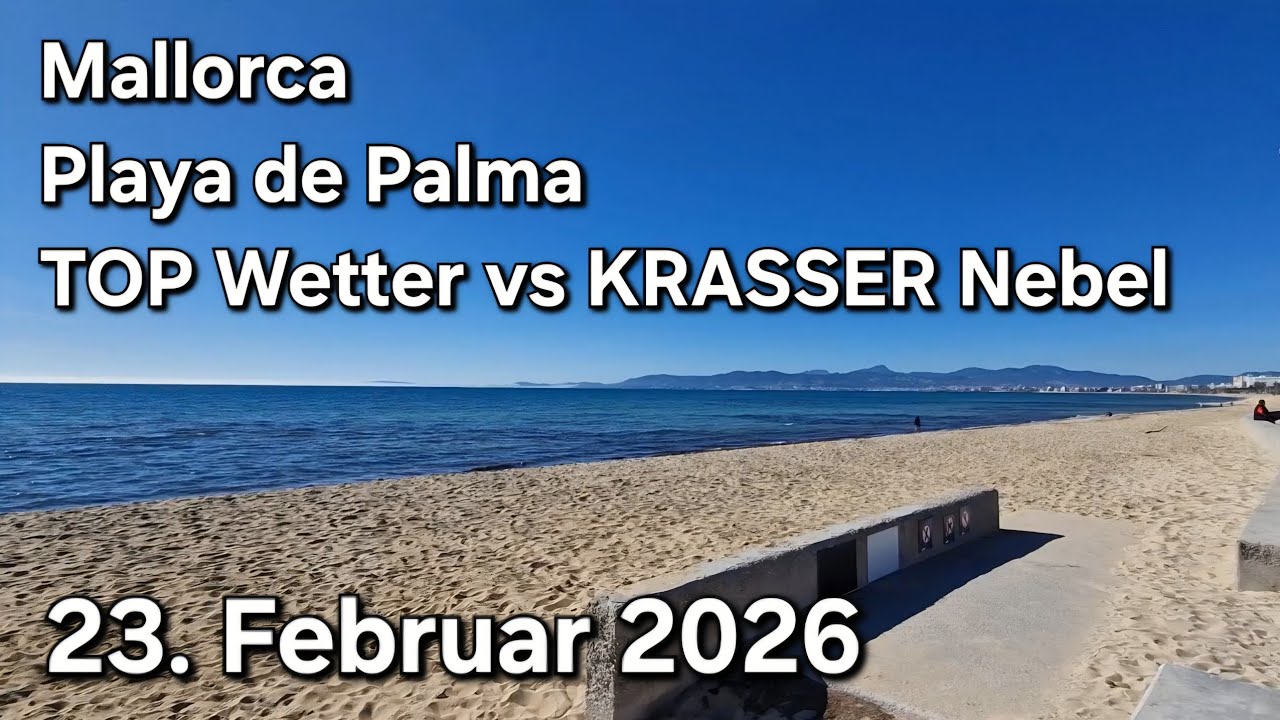 🌴Playa de Palma Kompakt - 🥳Tag & Nacht am Ballermann |♥️Mallorca VLOG 23. Februar 2026