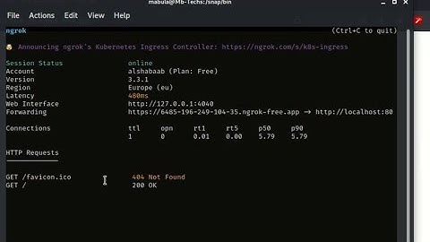 How to install ngrok in Linux with snap