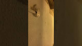 IMG 6088 01:19 16 JUN 2026