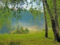 Релакс под пение птиц. Соловей. Birdsong. Podryga-on-line.ru