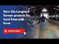 How this Longford farmer protects his herd from milk fever