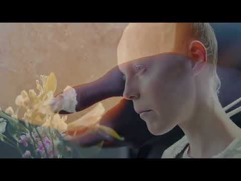 Putar Golden Day - Under the Big Bright Yellow Sun