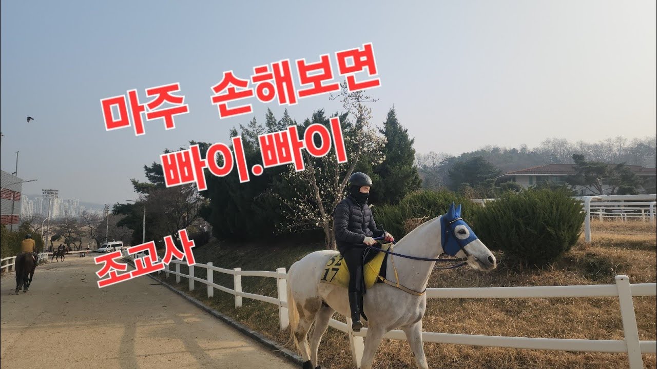 마주 적자나면 빠이 바~이