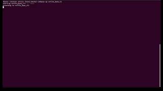 Run Container - Svitlo Independent GNU/Linux Distribution