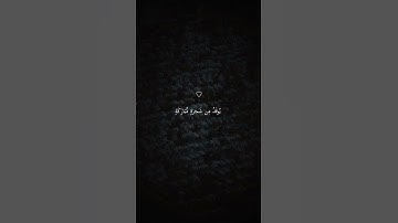تلاوة خاشعة جميلة بصوت ياسر الدوسري ارح سمعك ♡ #ياسر_الدوسري #اكسبلور_فولو