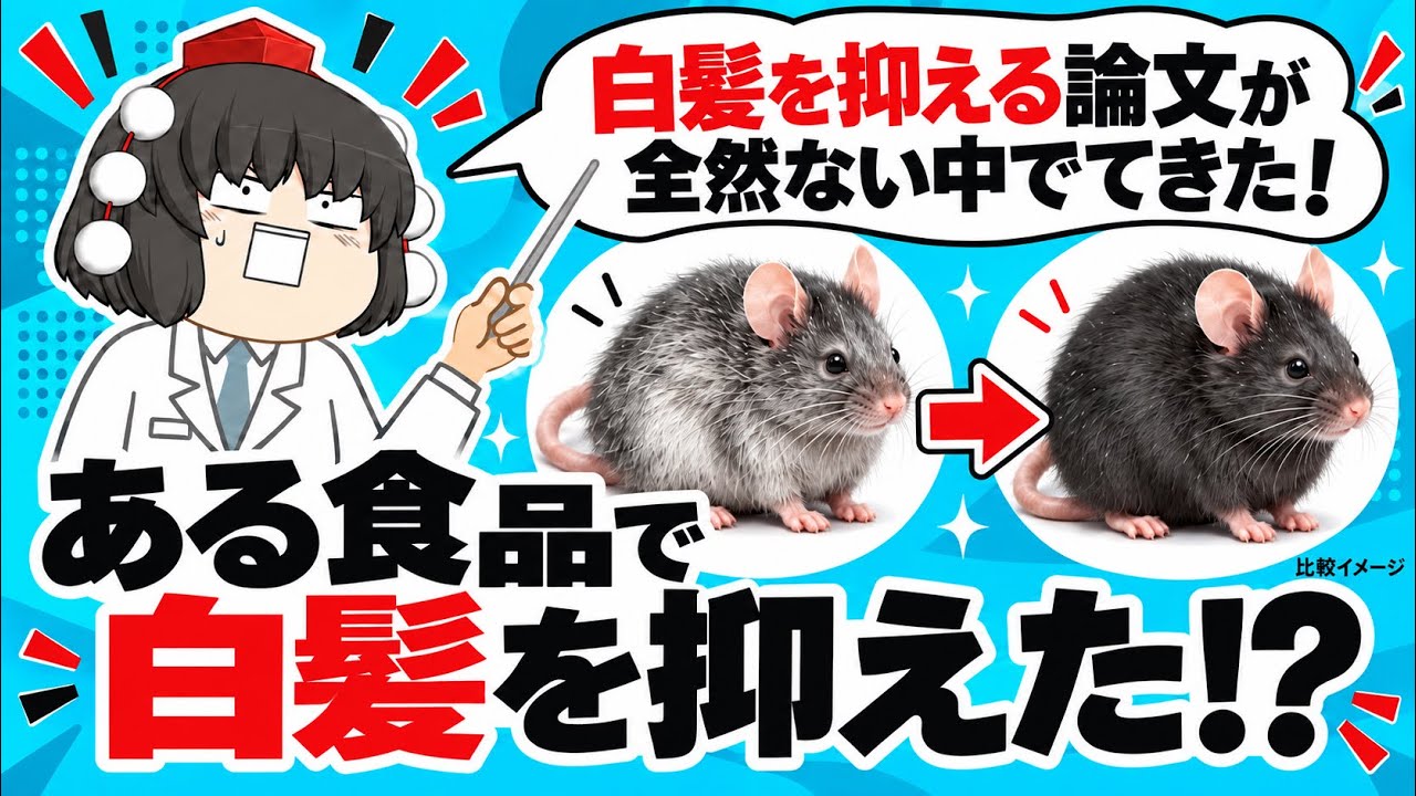【緊急速報】白髪を隠すだけで終わりたくない人へ。日本の研究で何が起きた？【ゆっくり解説】