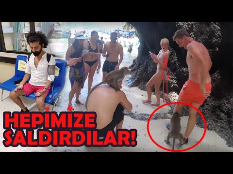 MAYMUNLAR SALDIRDI CANIMI ZOR KURTARDIM - AİDS OLABİLİRİM!!! /39