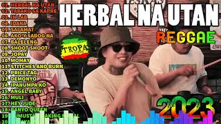 Download Lagu HERBAL NA UTAN - Rudy Tagsip of HALAMANA | Tropavibes Reggae Live Session MP3